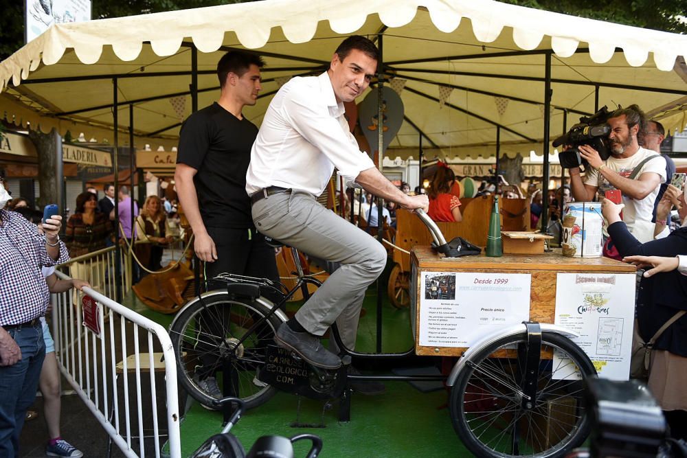 PEDRO SÁNCHEZ EN GRANADA