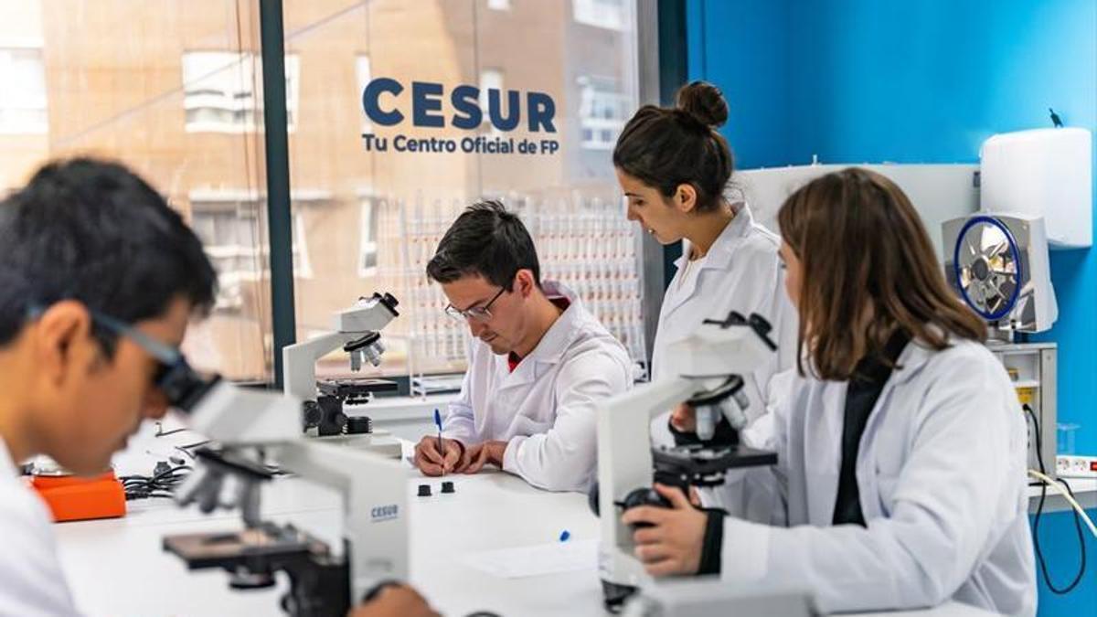 CESUR refuerza su expansión nacional con nuevas aperturas en Alicante, Córdoba y Zaragoza.