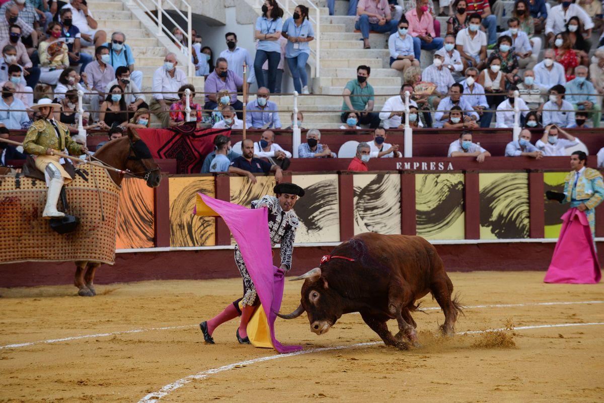 Los toros vuelven a La Malagueta