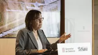 El Govern negocia con el ministerio y Red Eléctrica puntos de conexión que permitan desarrollar grandes parques renovables