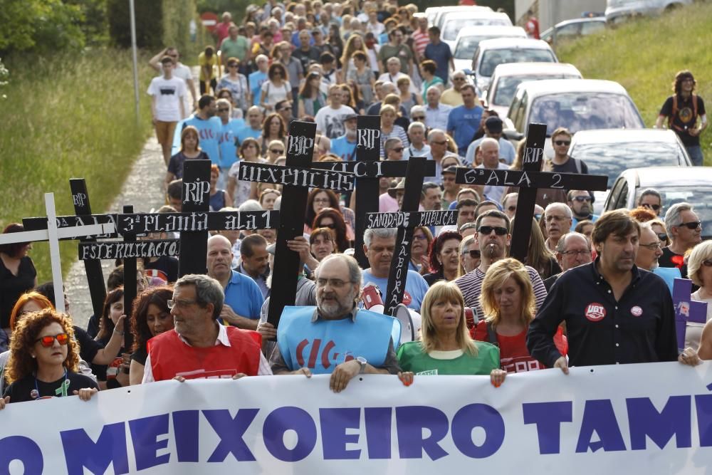 Manifestación por Un Meixoeiro "con futuro"