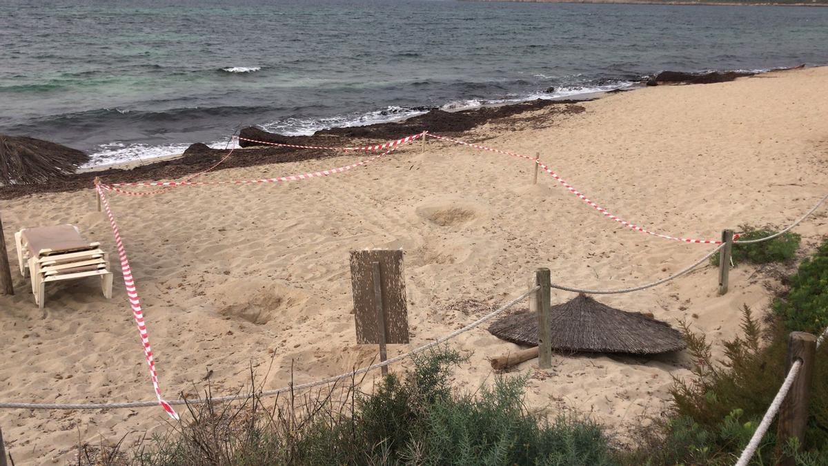 Zona en la que ha intentado desovar la tortura en Migjorn.