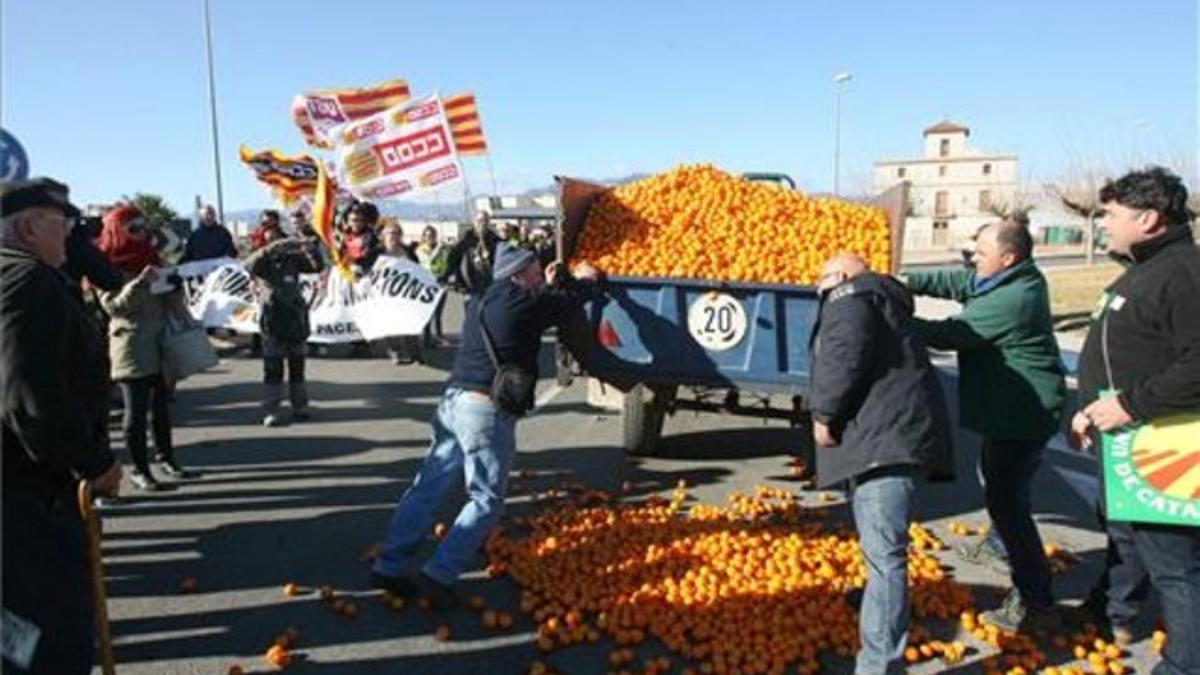 Payeses participantes en la tractorada descargan, este sábado, un remolque de mandarinas en la C-12 a la altura de Tortosa.