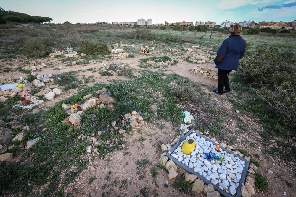 Junto al parque de Lo Albentosa de Torrevieja se extienden fosas y lápidas en una práctica no regulada