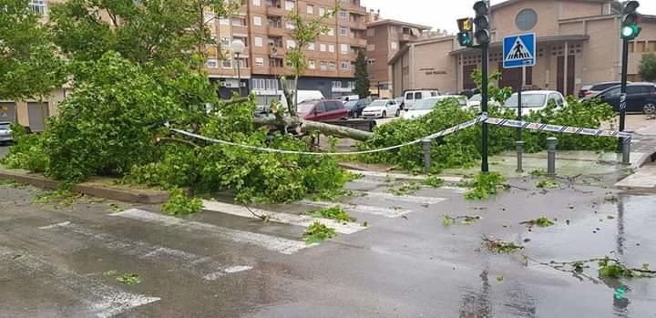 Medio Vinalopó.