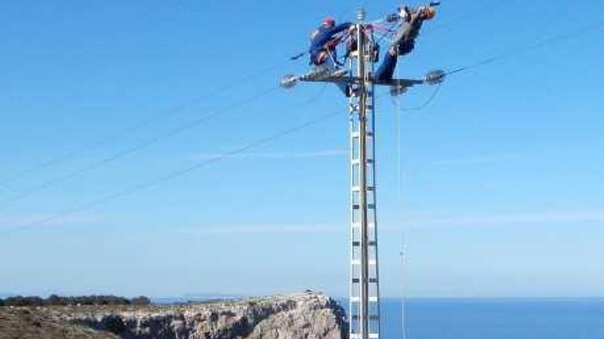 Líneas sin riesgo eléctrico para las aves