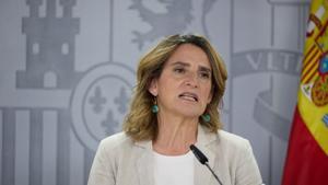 La vicepresidenta tercera y ministra para la Transición Ecológica y el Reto Demográfico, Teresa Ribera, durante una rueda de prensa posterior a la reunión del Consejo de Ministros, en el Palacio de la Moncloa, a 11 de junio de 2024, en Madrid (España).