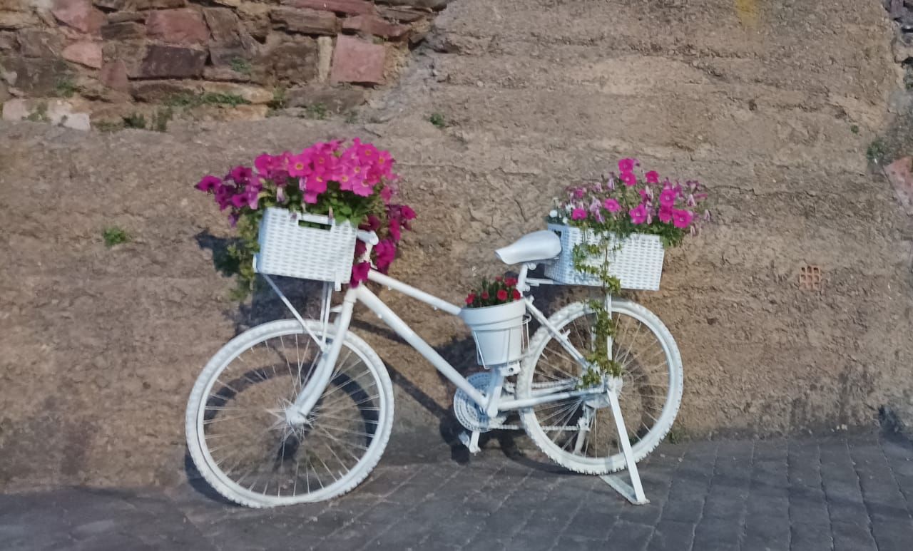 Viles en Flor, un reclamo turístico que mejora la imagen de Higueras gracias al esfuerzo de sus vecinos