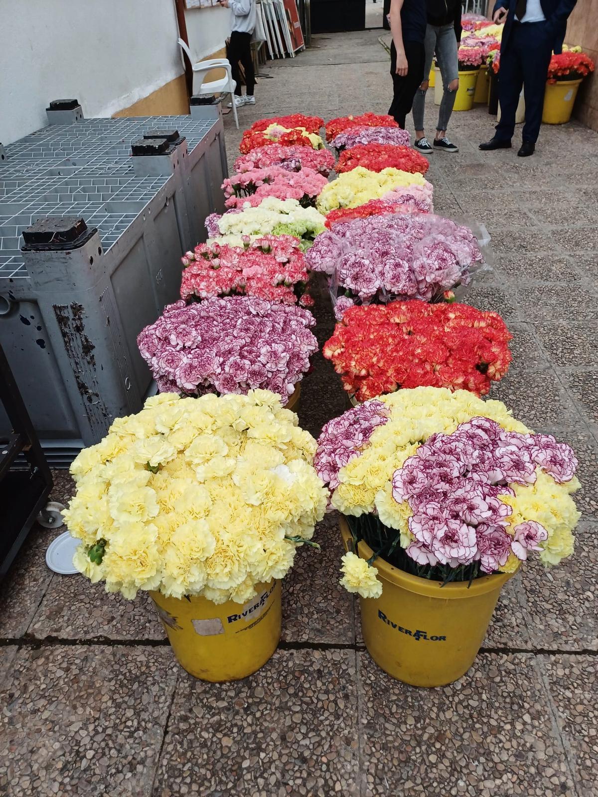 Las flores que han comprado este año las vecinas para la 'petalá'
