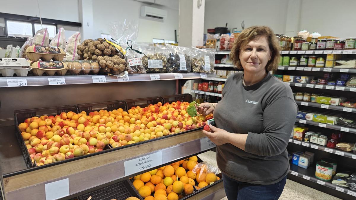 FOTOS | La campaña de albaricoques en la Cooperativa de Porreres, en imágenes