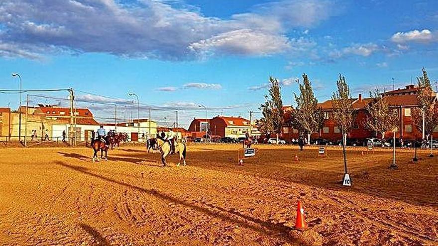Campo de fútbol de tierra de La Rosaleda durante la Femag pasará a ser de hierba.