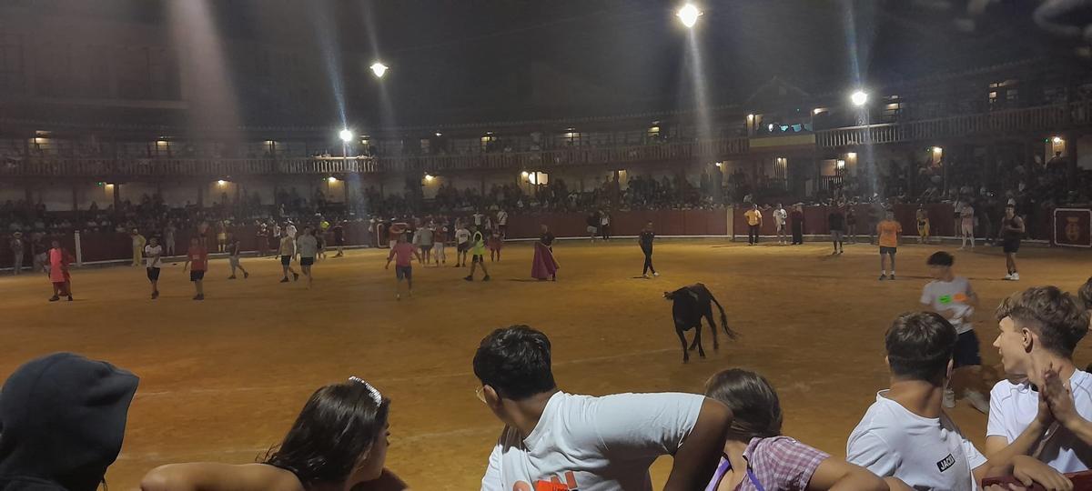 GALERÍA | La verbena taurina de las Fiestas de San Agustín de Toro, en imágenes GALERÍA | La verbena taurina de las Fiestas de San Agustín de Toro, en imágenes