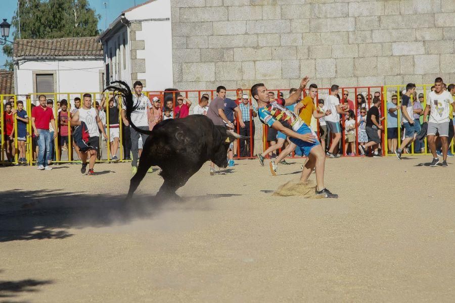 Encierro en Bermillo