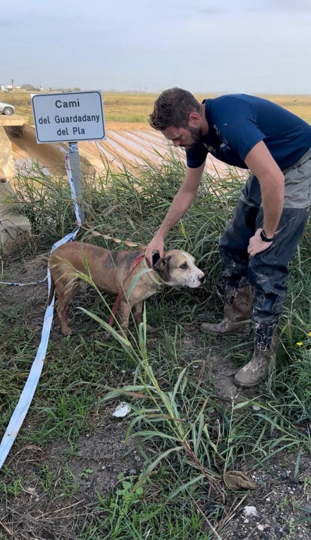 Rescate de un perro en el término en una de las situaciones de emergencia.