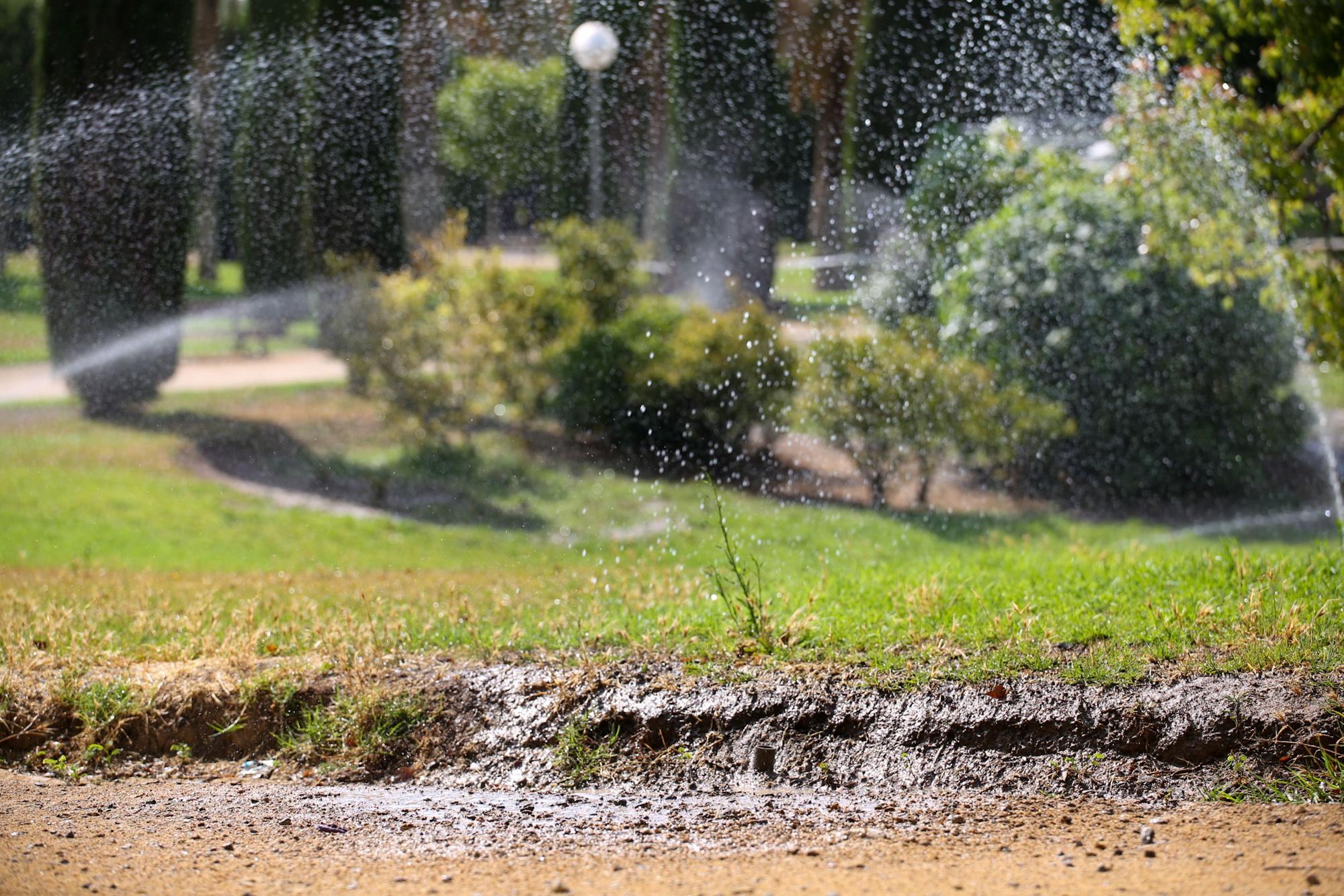 El declive del Parque Lo Morant