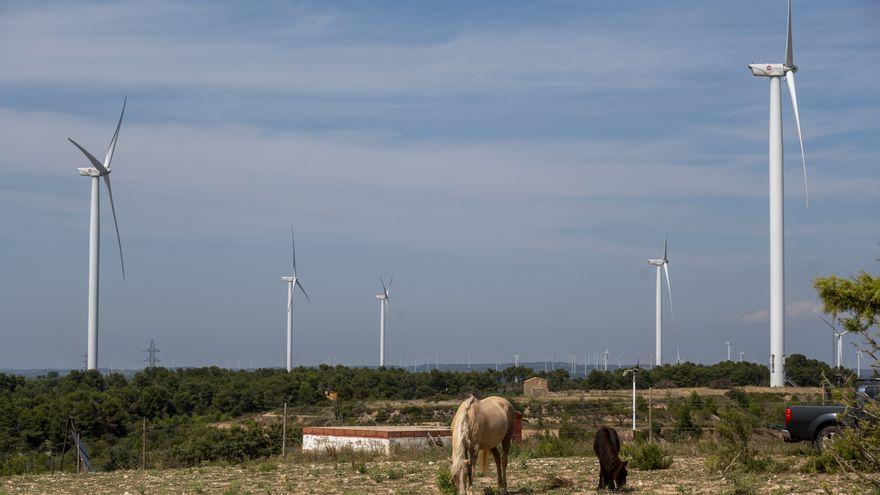 Aerogeneradores en un parque eólico ubicado en una zona rural