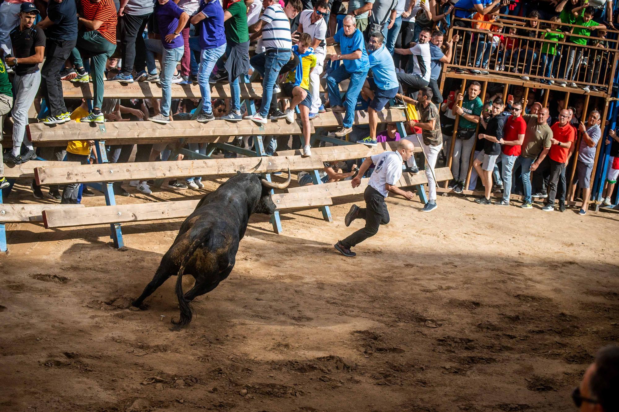 Las mejores imágenes del primer encierro de la Fira d'Onda