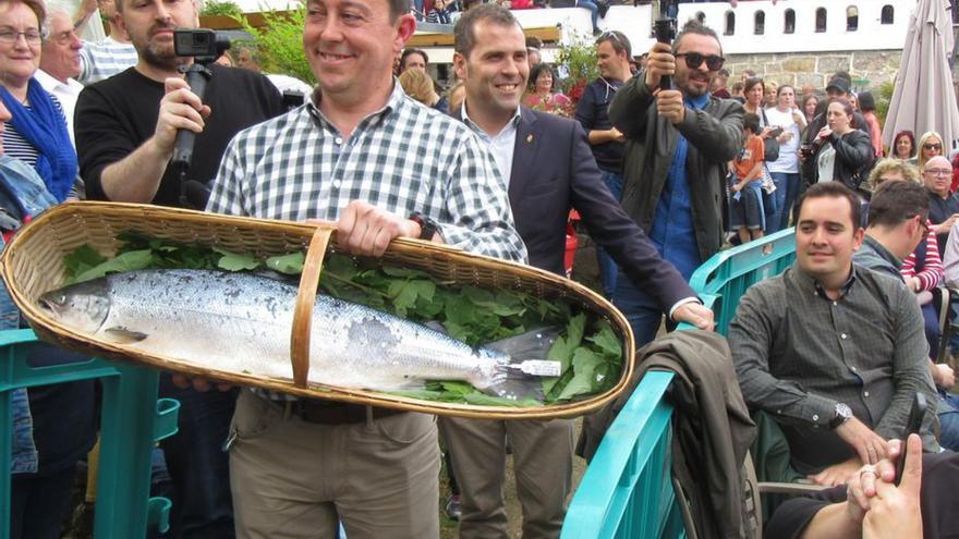 Cornellana y Cangas de Onís echan la caña al campanu, un imán para el turismo y los ingresos