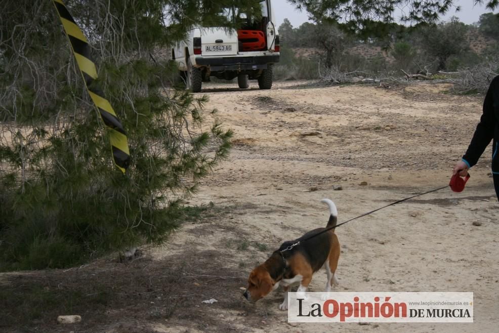 San Jorge Trail (recorrido)