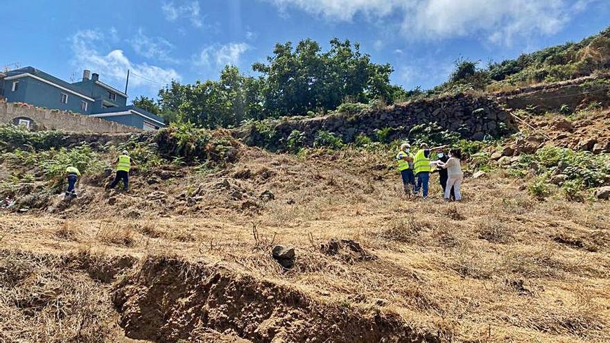 Preparativos para el inicio de las obras del recinto ferial del ganado.