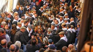 Las mejores imágenes de la 'pujà' del carro de Borriol con 30.000 kilos de leña para la hoguera de Sant Antoni
