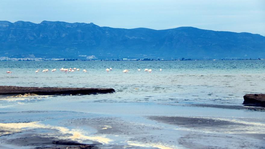 Un dels canals obert a l'istme del Trabucador desembocant a la badia dels Alfacs, amb un grup de flamencs a l'aigua