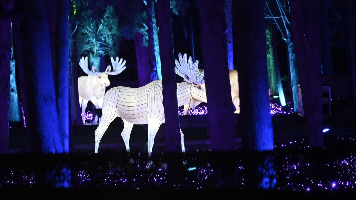 Las nuevas luces del espectáculo Boreal, que abrirá el 5 de diciembre.