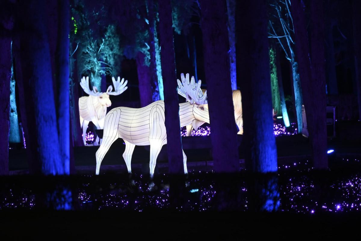 Las nuevas luces del espectáculo Boreal, que solo abrirá el 5 de diciembre