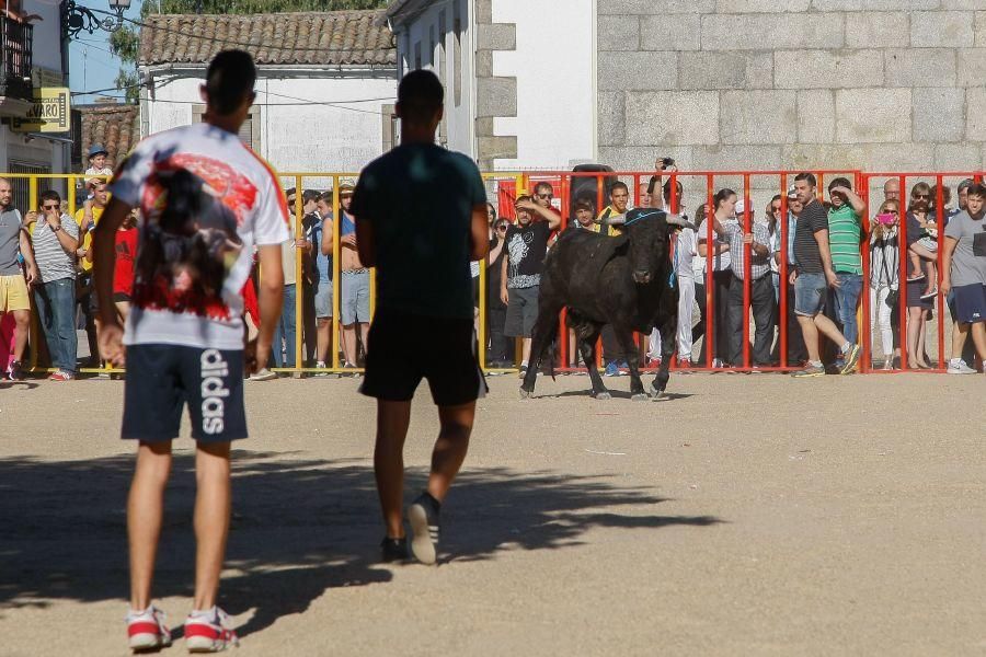 Encierro en Bermillo