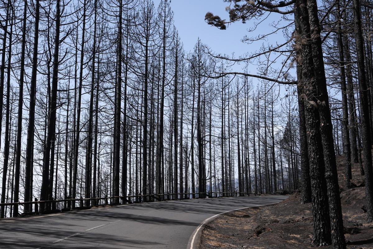 Estabilizado el incendio de Tenerife