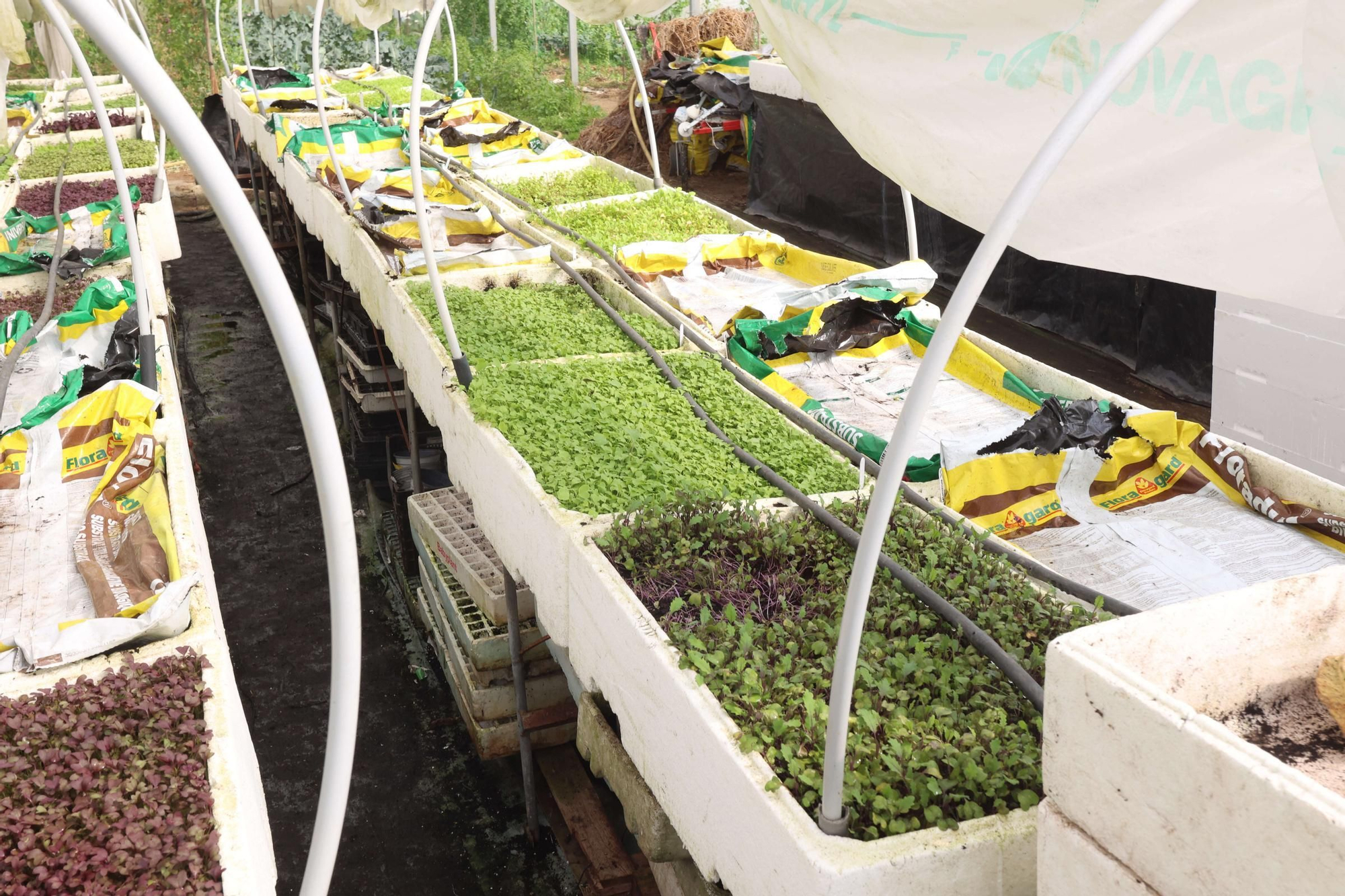 La Reserva da Biosfera Mariñas Coruñesas e Terras do Mandeo presenta en Paderne la feria Biocultura A Coruña 2025