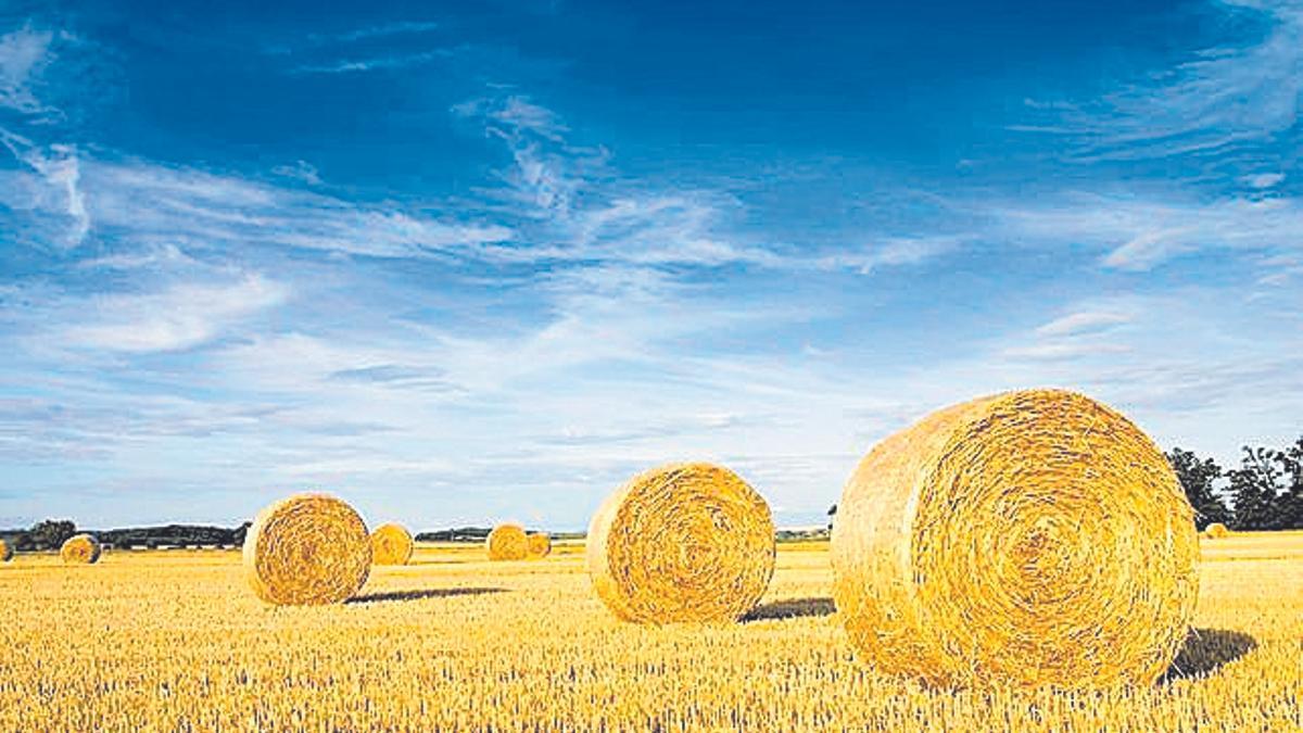 Los mejores en higiene personal y la salud en Europa