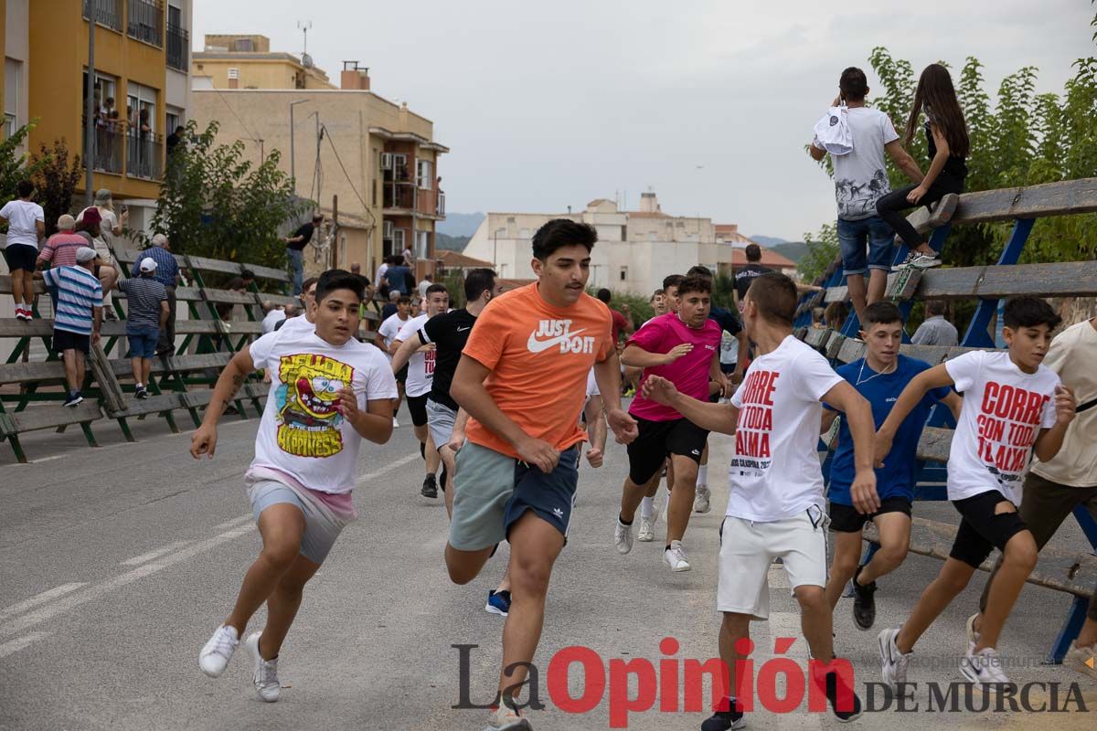 Chupinazo y encierro chico en Calasparra