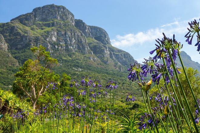 Kirstenbosch, Sudáfrica