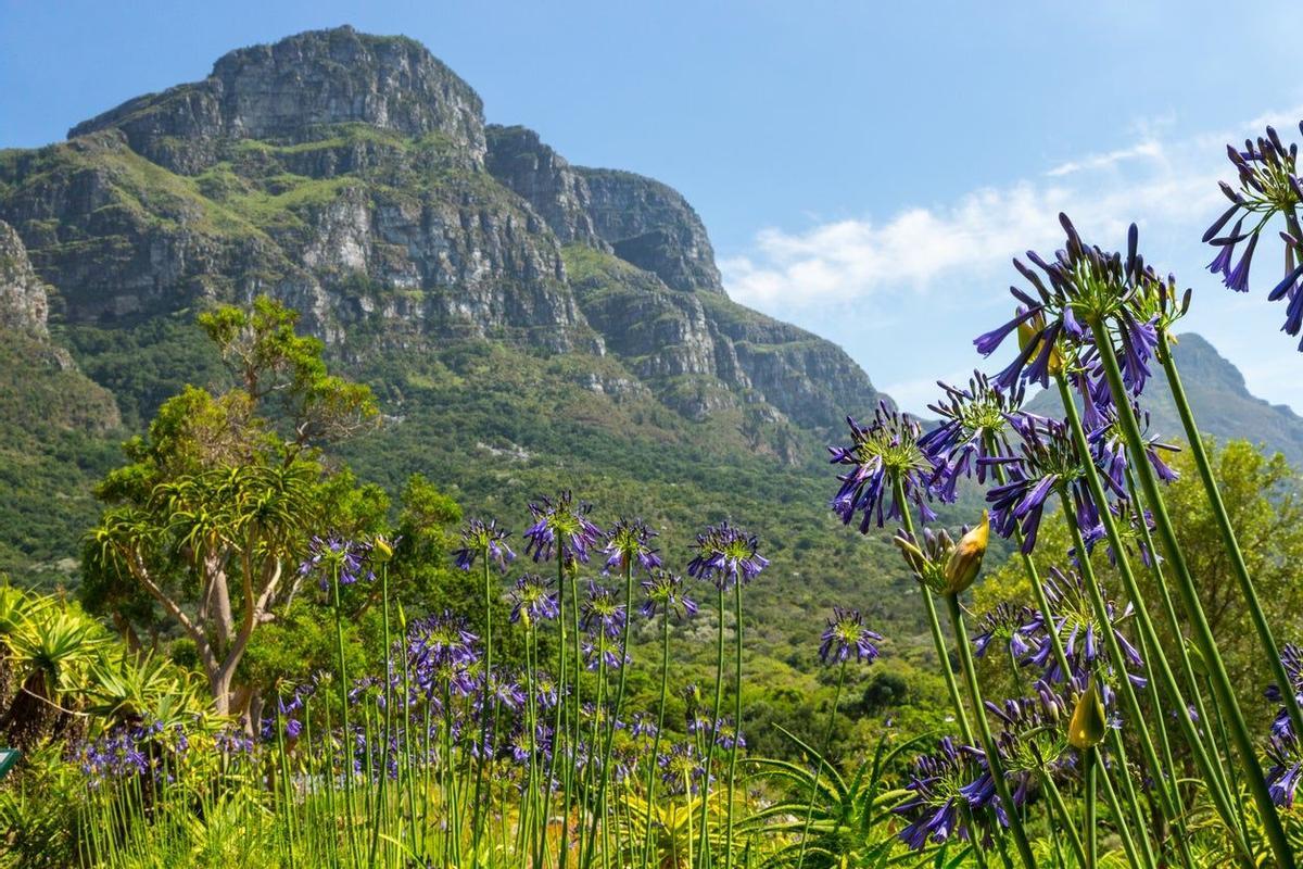 Kirstenbosch, Sudáfrica