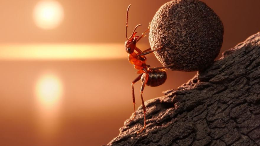 Así puedes reducir los &quot;gastos hormiga&quot; y hacer más llevadera la cuesta de septiembre