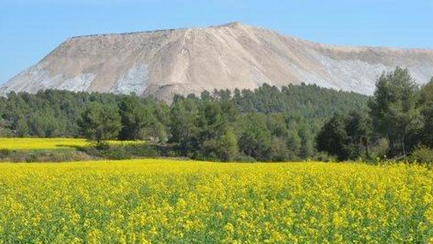 El polèmic runam del Cogulló