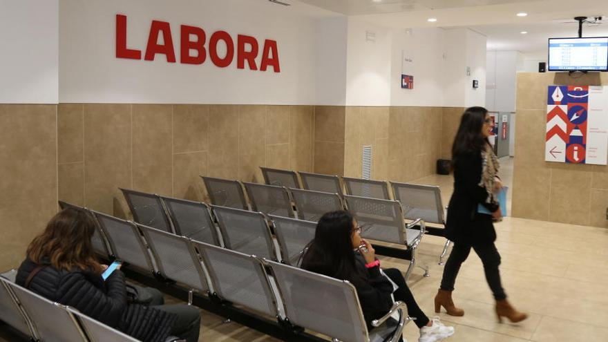 València contratará a 120 desempleados mayores de 30 años antes de final de año