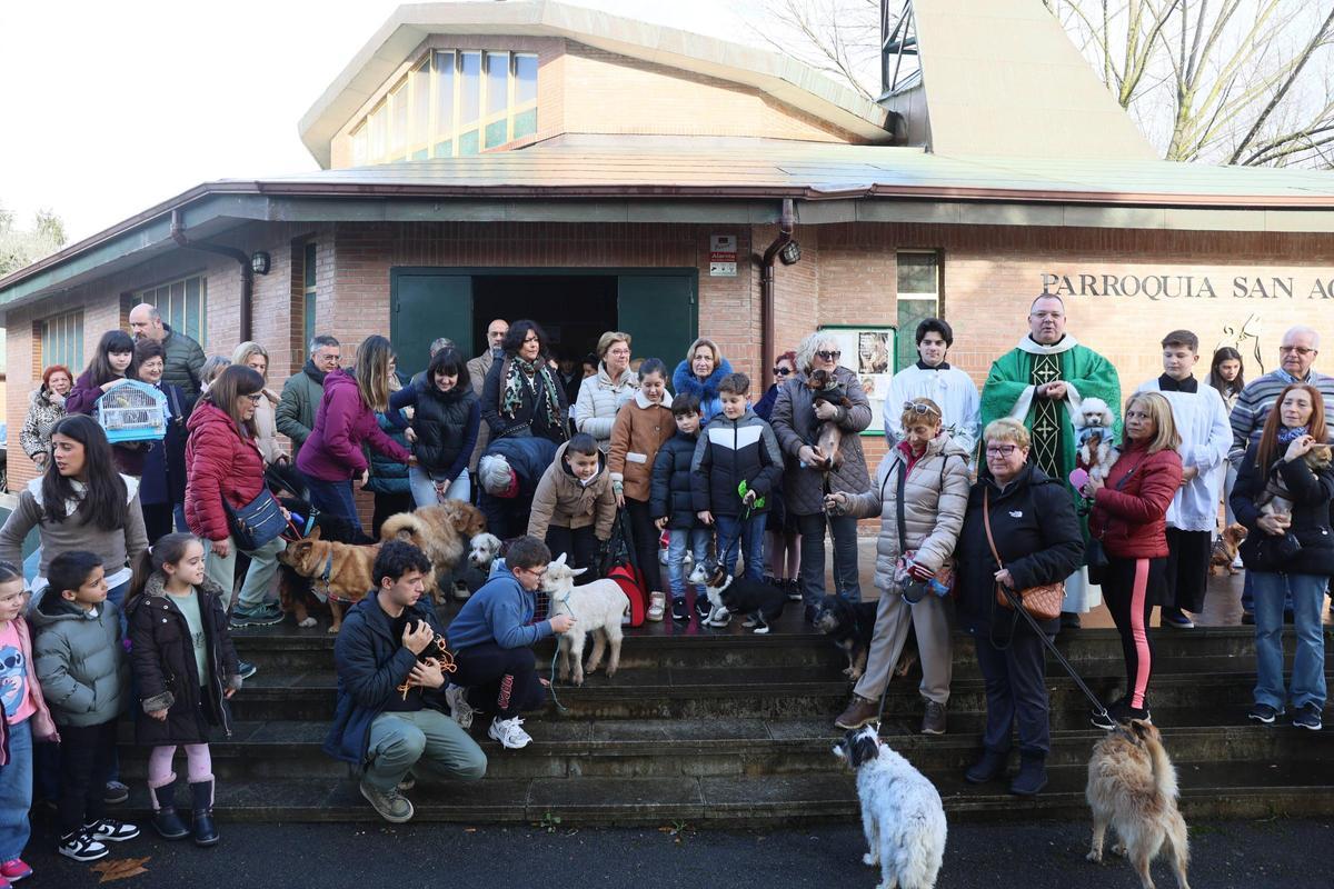 La bendición de animales en La Magdalena, en imágenes