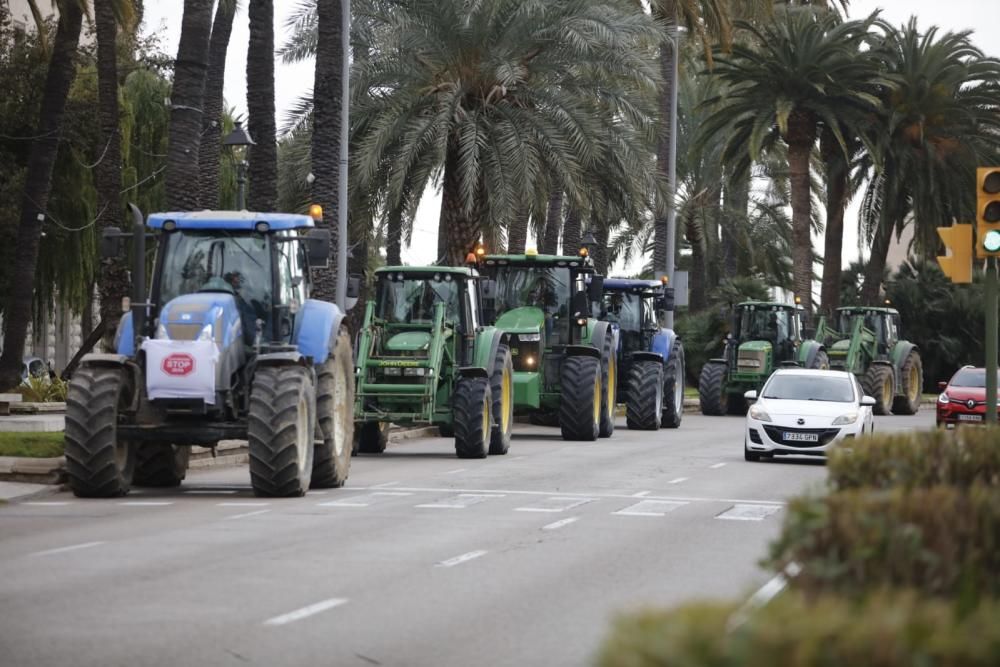 Tractorada sorpresa de los agricultores de Mallorca contra el Govern Armengol