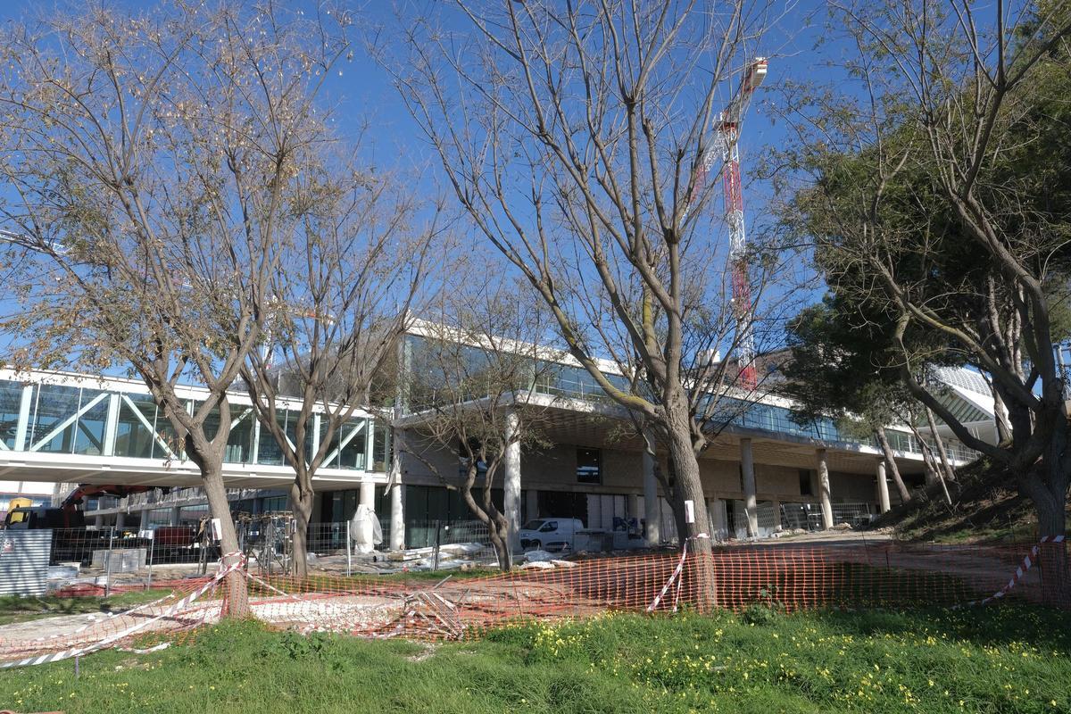 Obras en el aeropuerto de Palma: Las fotos de la nueva pasarela que une la zona nueva de la terminal y el módulo A