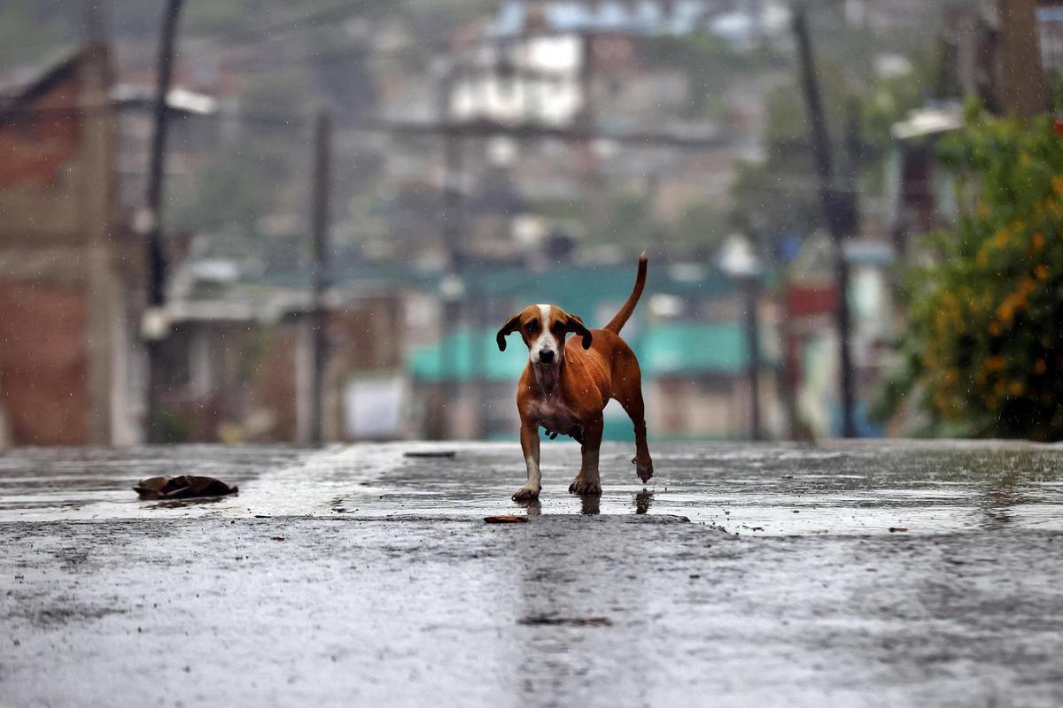 El huracán Melissa golpea Cuba