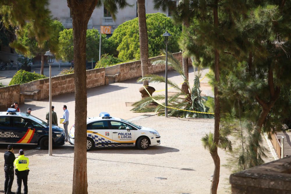 Muerte en el Parc de la Mar