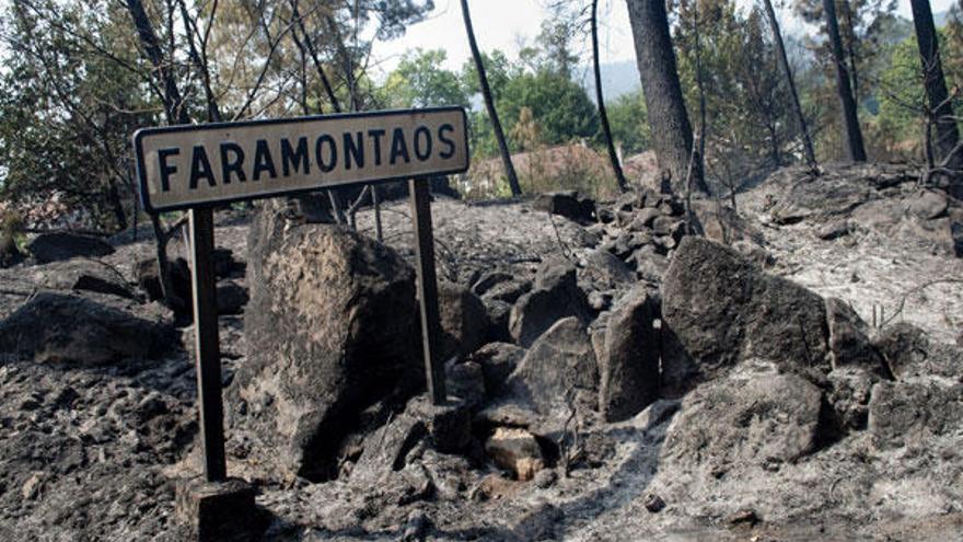 Apagado el incendio  forestal registrado en San Cristovo