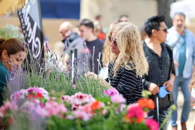 Vídeo: fiesta de las flores en Vara de Rey