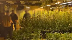 Agentes de los Mossos dEsquadra, en la plantación de marihuana descubierta en un local del Eixample, en Barcelona.
