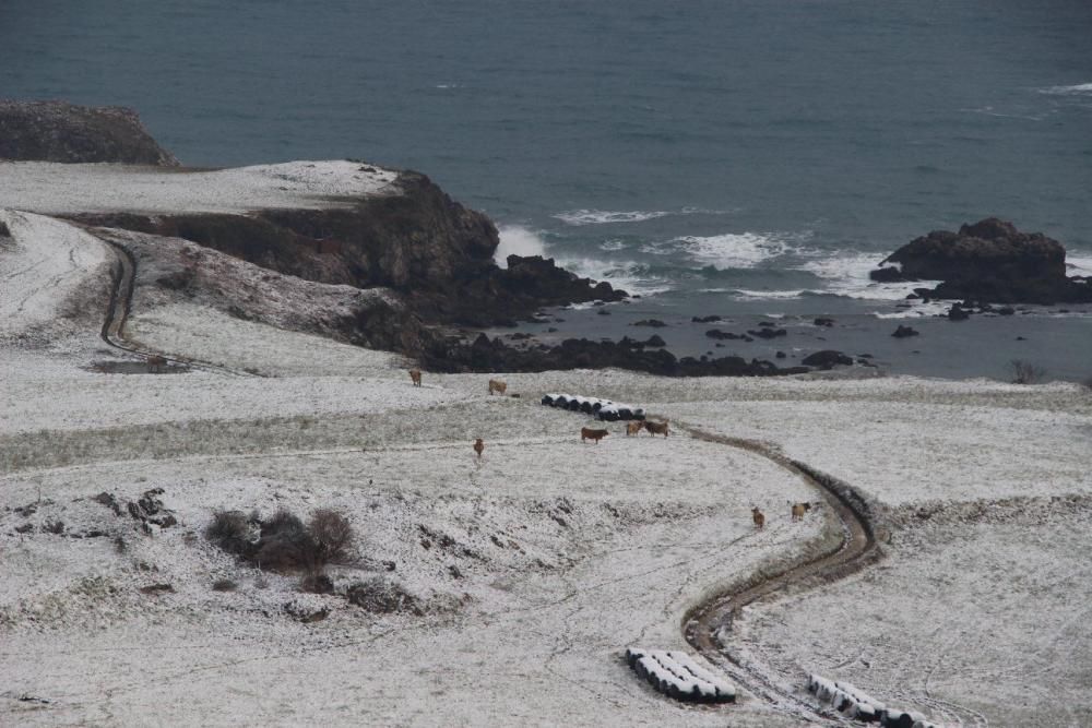 Llanes, de postal bajo el manto blanco: costa de Barru y Niembru