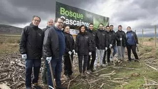 Nuevos gestos para recuperar el ecosistema de la Sierra de la Culebra quemado en 2022