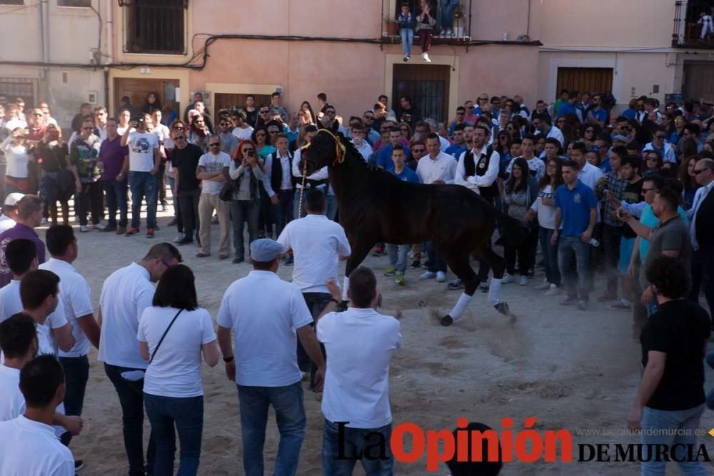 Día uno de mayo, entrada de caballos al Hoyo