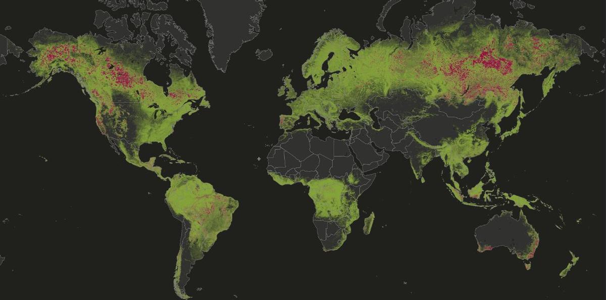 Pérdida de cobertura arbórea debido a incendios visualizados en el mapa GFW, 2001-2021.